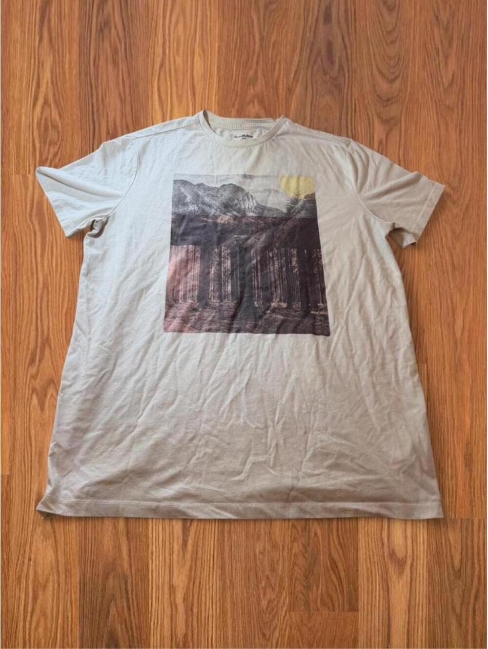 Goodfellow & Co Men’s Cream Mountain & Forest Graphic T-Shirt Size L
